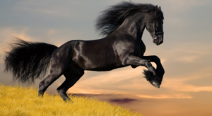 Horses: Majestic and Versatile