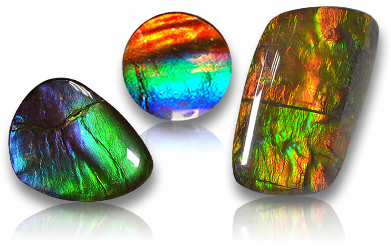 Ammolite