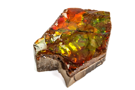 Ammolite